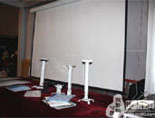 ��Ҷ���ͶӰĻ��Ʒ��������InfoCommչ 