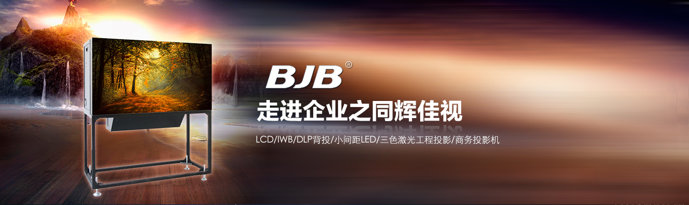 本期走进同辉佳